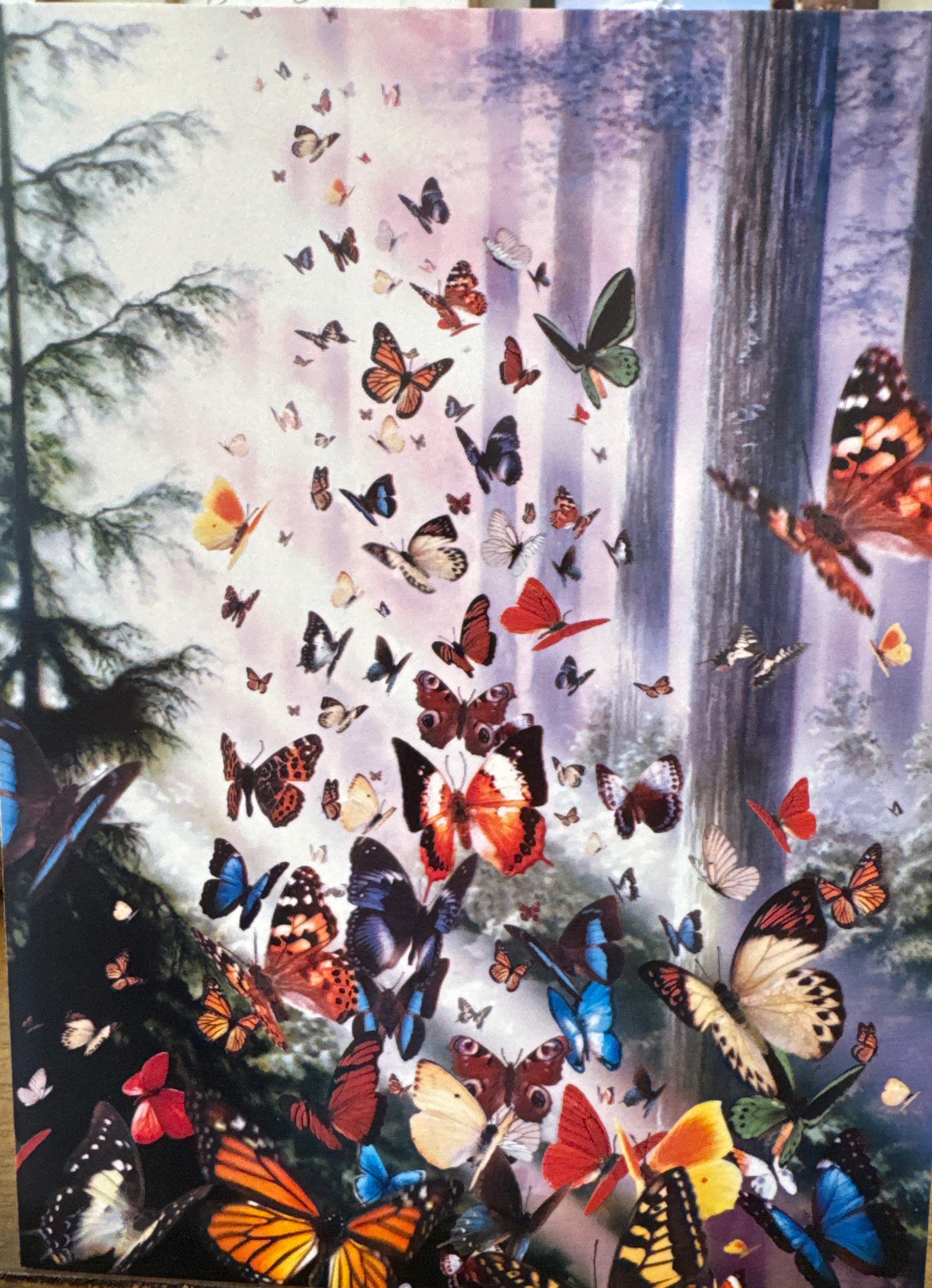 Blank Butterfly Card