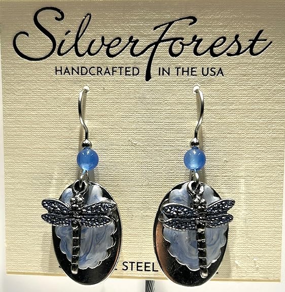 Silver Forest Dragonfly on Light Blue Cloud and Silver Oval Earrings