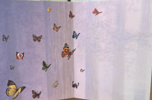 Blank Butterfly Card