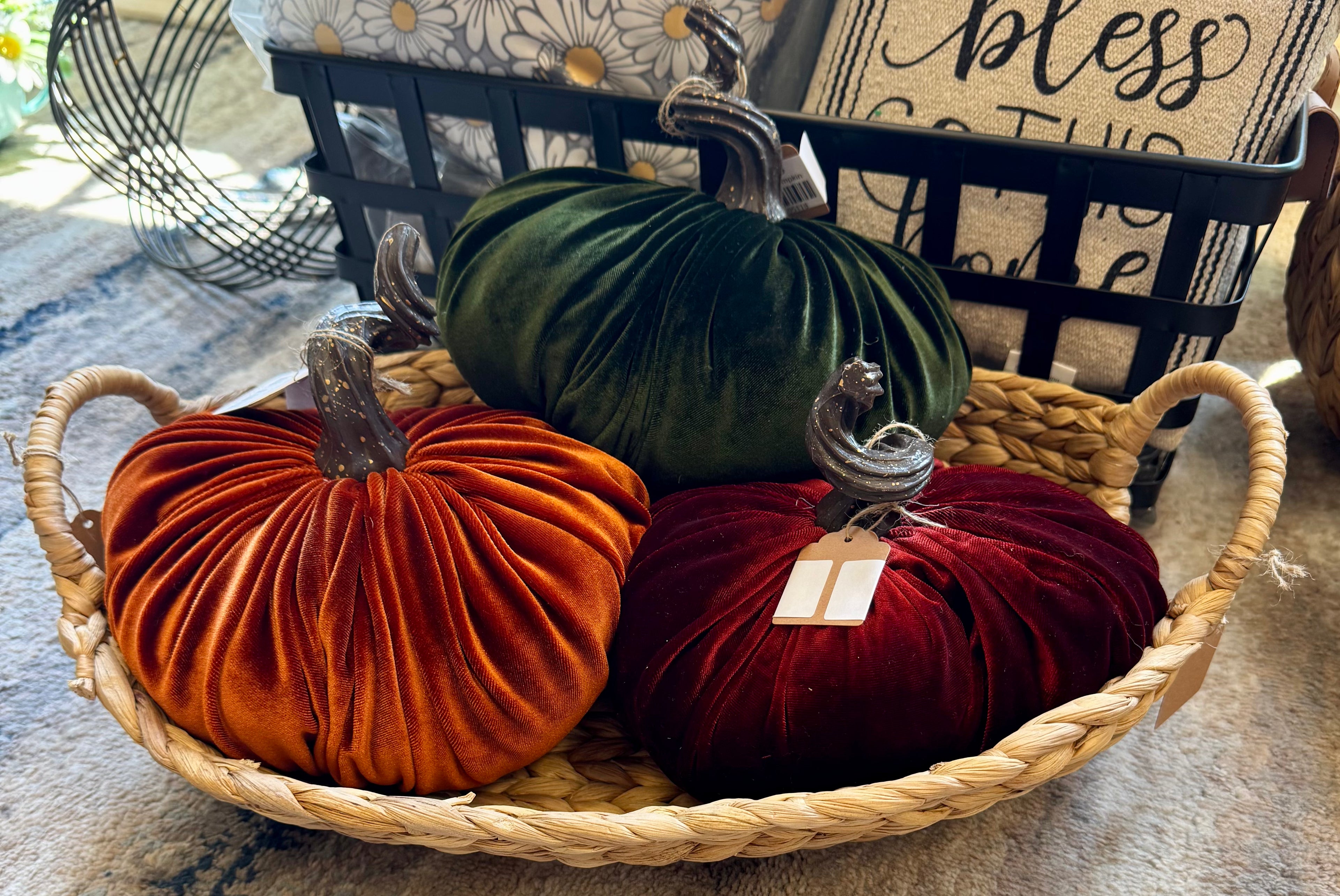 Velvet Pumpkin