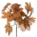 Fall Leaf Pick
